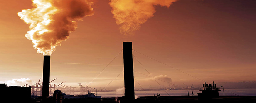 Gestión Efectiva para la Prevención de Dioxinas y PCB'S en la Industria de Alimentos Animales - Proovedores